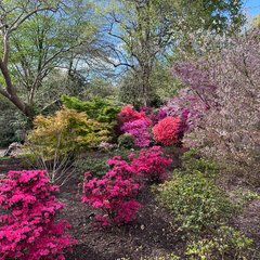 Royal Botanic Gardens, Kew